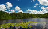 summer scene at lake Suur Kalajarv, Estonia