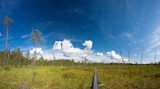 panoramic view of hiking trail at Ruunaa hiking area, Finland