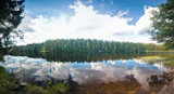 summer scene at lake Jarvi Pikkjarv, Estonia. digital composite