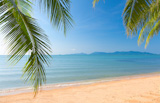 Palm leaf and tropical beach