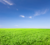 Green field under blue cloudy sky with sun