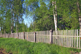 old,wooden,fence,amongst,herbs