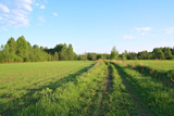 rural road near green field