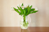 white,tulips,in,living,room,selective,focus