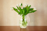 white,tulips,in,living,room,,,with,grunge,texture,/x