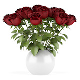 bouquet of red roses in vase isolated on white background
