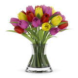 bouquet of tulips in vase isolated on white background