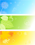 colored  nature backgrounds with soap bubbles