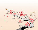 flowering cherry branch with flying bees