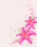 hand drawn floral background with pink  lily