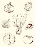 set of hand drawn  vintage vegetables icons