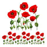 Border from red poppies.(can be repeated and scaled in any size)