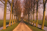 Walking+Down+Tree+Lined+Path