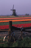 Bicycle+in+Field+with+Windmill