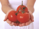 Woman+Holding+Tomatoes