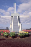 Windmill+with+Potted+Flowers