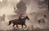 Cowboy+Roping+a+Horse