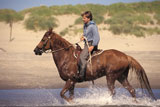 Man+Riding+a+Horse+Through+Water