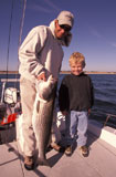 Man+and+Little+Boy+Catching+Big+Fish