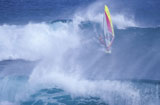 Windsurfer+Riding+a+Wave