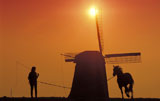 Horse+Running+Around+Windmill+at+Sunset