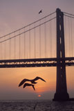 Golden+Gate+Bridge+at+Sunset