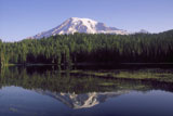 Mount+Rainier+National+Park