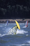 Windsurfer+Doing+Amazing+Flip