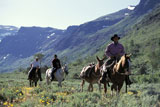 Cowboys+Riding+Horses+in+the+Mountains
