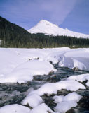 River+in+a+Snowy+Wilderness
