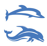 two dolphins on white background, vector illustration