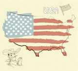 USA map with US flag