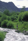 Fly+Fishing+In+A+Mountain+River