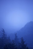 Blue+Mountain+Valley