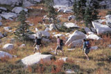 Hiking+With+A+Group+Through+The+Rocky+Wilderness