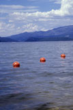 Buoys+Floating+in+Water