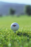 Close-up+of+a+golf+ball+on+a+tee