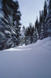 Blurred+view+of+trees+on+a+snow+covered+mountain