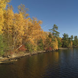 Autumn+Colors+at+Lake+of+the+Woods+Ontario+Canada