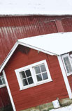 Two+Red+Barns+in+Winter