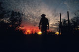 Cowboy+at+Sunset
