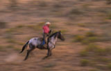 Cowboy+Lassoing+Horse
