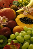Succulent+Array+of+Fruit