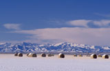 Hay+Field+and+Rocky+Mountains