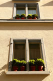 Houseplants+on+windowsills