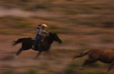 Cowboy+Lassoing+Wild+Horse