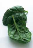Close-up+of+cabbage+leaves