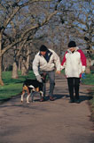 elderly+couple+walking+their+dog