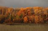 Lake+Autumn+Colors