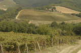 Vineyards%2C+Chianti+Region%2C+Tuscany%2C+Italy